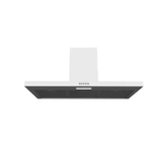 CampanaExtractoradePared