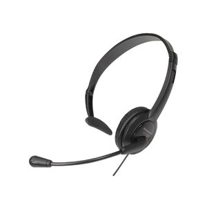 Audífonos Y Micrófono Panasonic Rptca400Ppk P8885 | Tipo Diadema  Color Negro