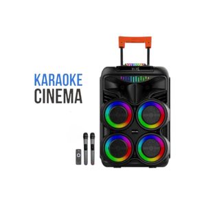 Parlante Inalámbrico Wgaoyang P8822 | 8" 60 Watts Color Negro